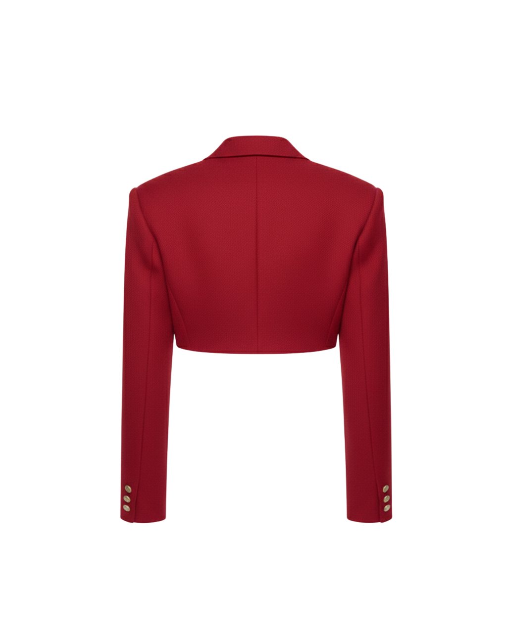 The Vice Rouge Cropped Blazer